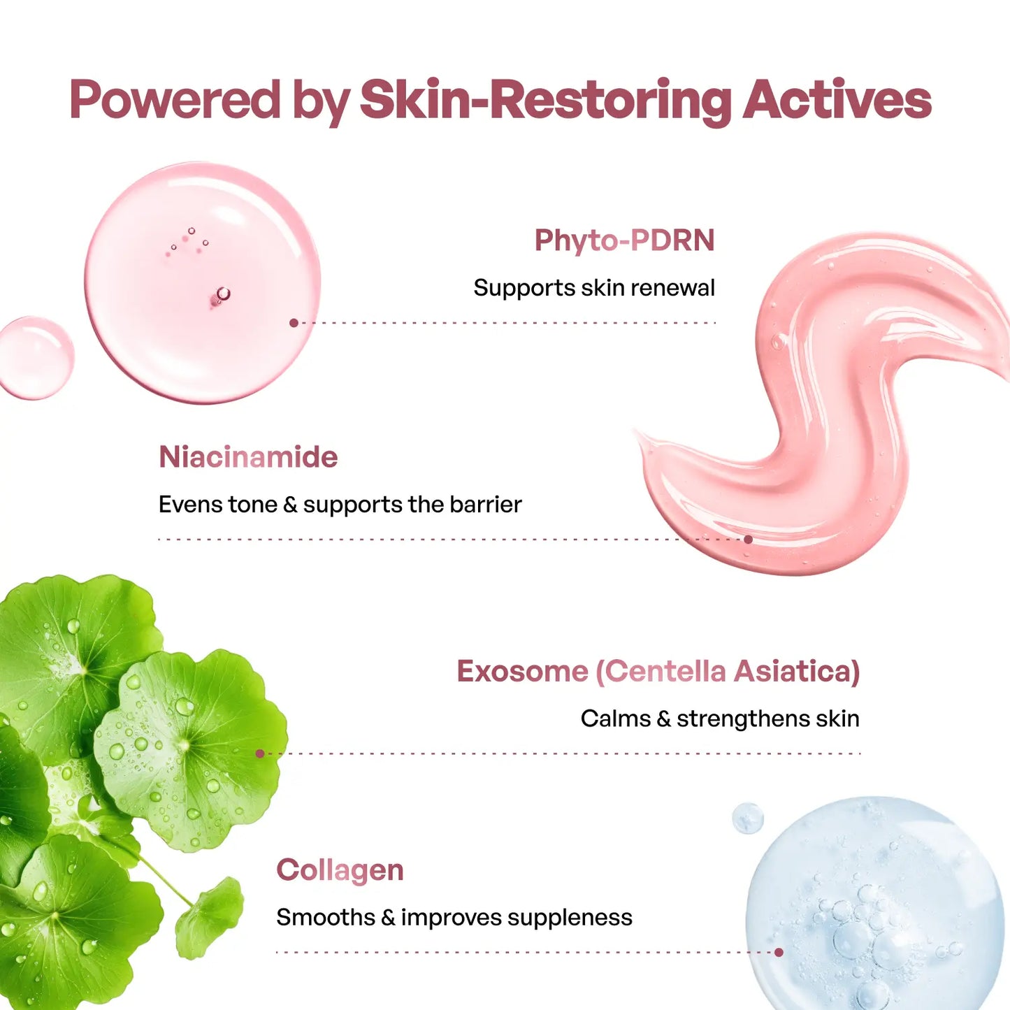 [PLANTIFIQUE Official Shop] NEW – PDRN Exosome Serum 700 – Hydrating Face Serum with Niacinamide, Hyaluronic Acid & Peptides, Lightweight Skin Care